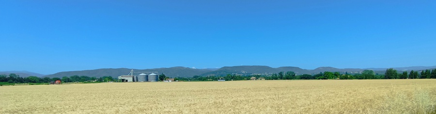 Drôme en vallée du Rhône ; les blés chauffent bien, en vue des monts d'Ardèche