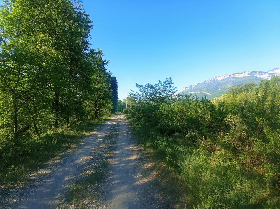 Gravelle sur la levée de l'Isère direction PontCharra