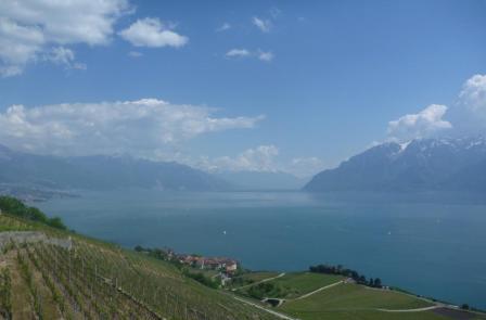 Le vignoble de Lavaux vu par un cyclotouriste en 2010