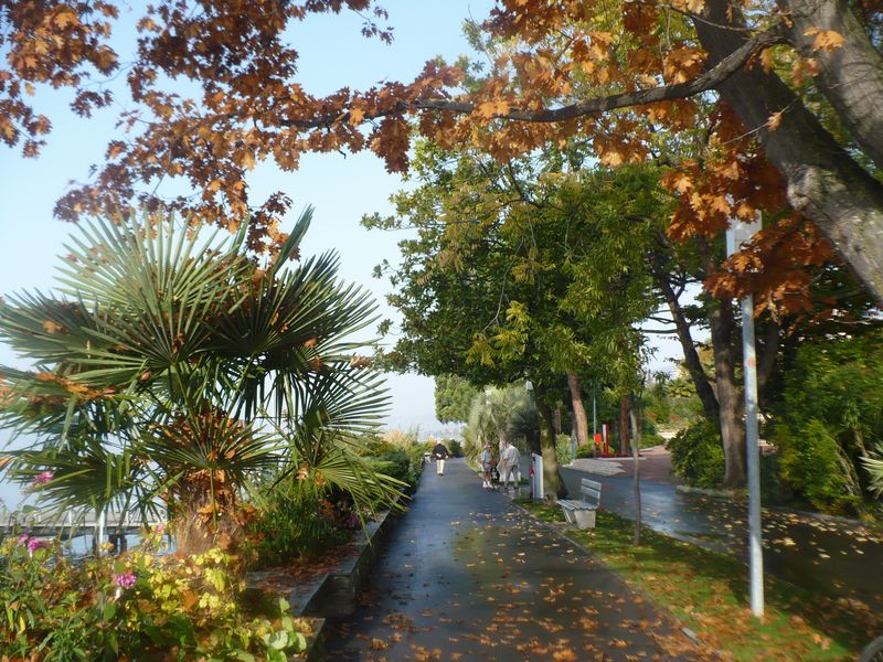 Montreux c&ocirc;t&eacute; jardin