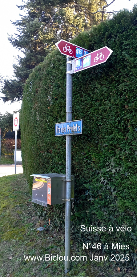 balise-suisse-a-velo-46-Miestitle=balise-suisse-a-velo-46-Mies