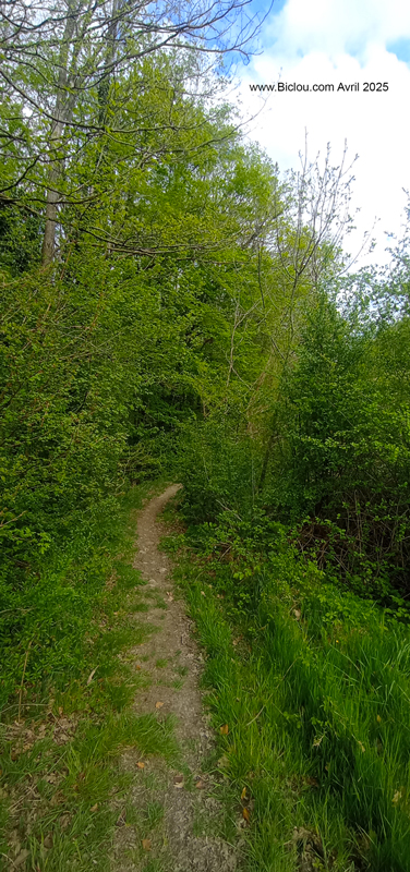 on-s-enfile-en-tout-bien-tout-honneur-dans-ce-bois-long-chemin-de-fer-viry