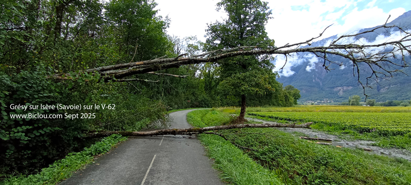 Gresy-arbres-sur-la-veloroute-v62