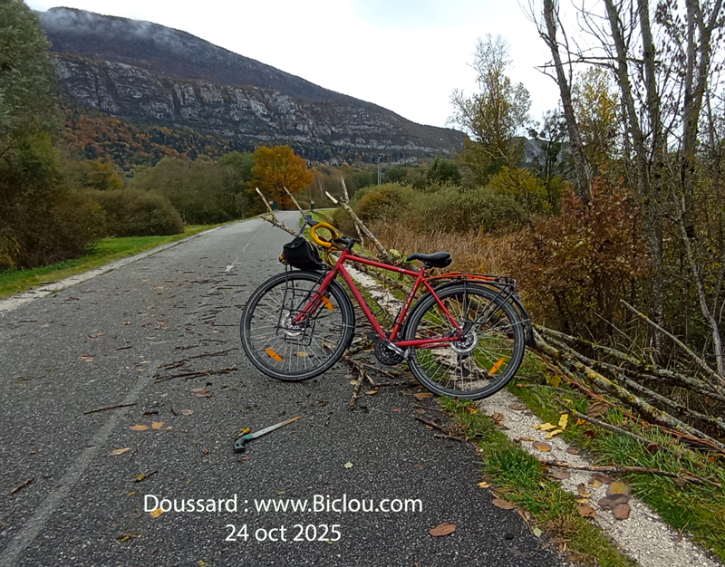 fanny-perplexe-decant-branches-sur-voie-verte-annecy-doussard