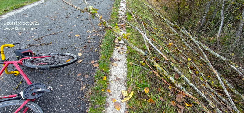 branches-sur-voie-verte-doussard