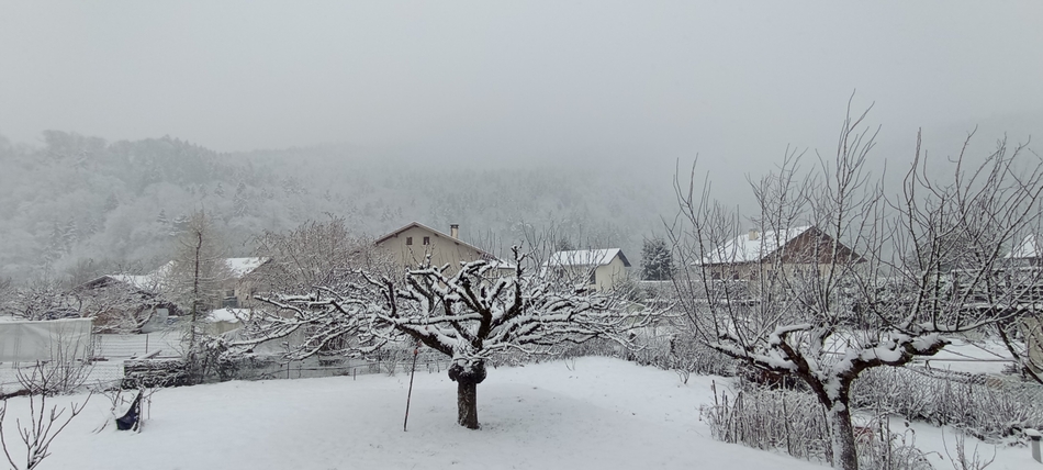 Neige-a-englannaz