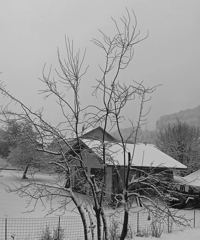 Neige-a-englannaztitle=Neige-a-englannaz