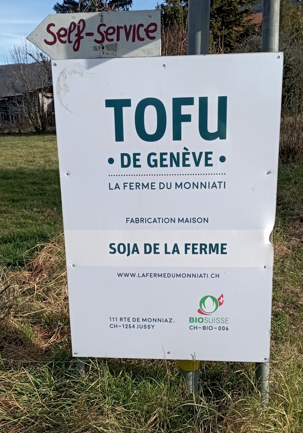 tofu