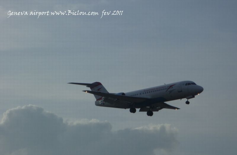 Avion