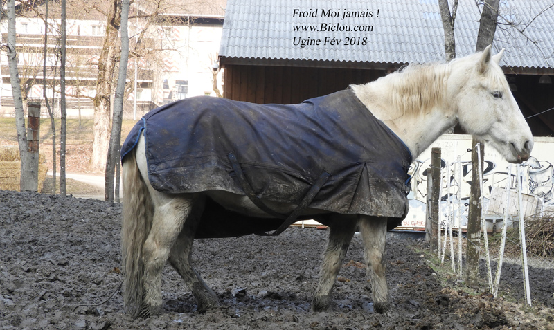 cheval-vapeur-Uginois-pas-froidtitle=cheval-vapeur-Uginois-pas-froid