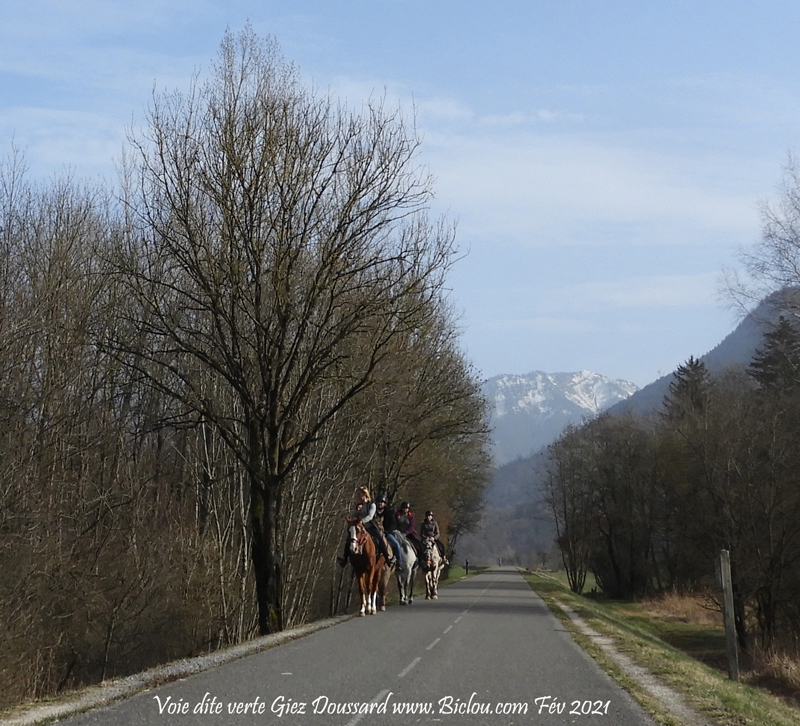 on-a-les-chiens-et-apresent-les-chevaux-sur-voie-vertetitle=on-a-les-chiens-et-apresent-les-chevaux-sur-voie-verte
