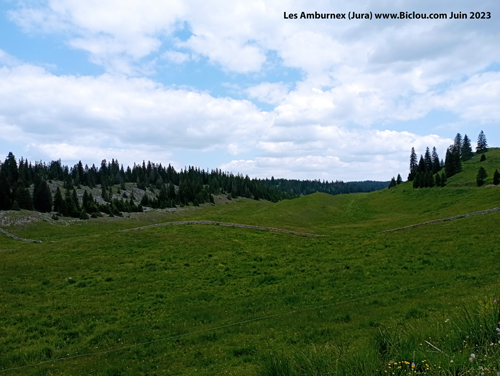 combe-des-amburnextitle=combe-des-amburnex