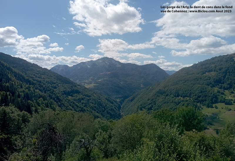 Gorges-de-L-arly-la-dent-de-cons-vus-du-Cohennoztitle=Gorges-de-L-arly-la-dent-de-cons-vus-du-Cohennoz