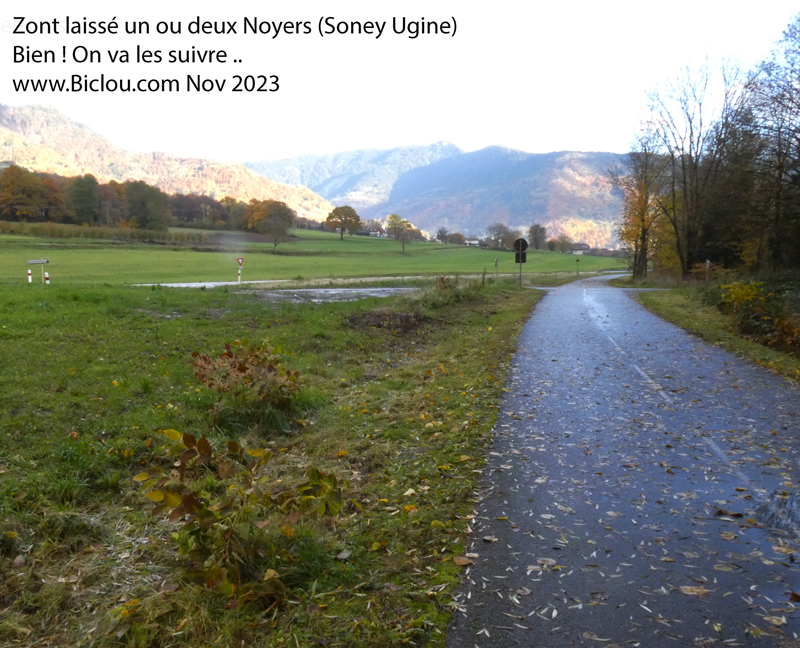 Noyers-sauvés-du-Massacre-Voie-verte-Soney-Uginetitle=Noyers-sauvés-du-Massacre-Voie-verte-Soney-Ugine