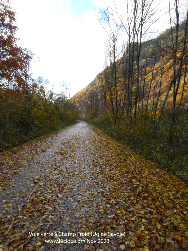 Tapis-de-Feuilles-voie-verte-aChamp-Froid-Ugine-Marlenstitle=Tapis-de-Feuilles-voie-verte-aChamp-Froid-Ugine-Marlens