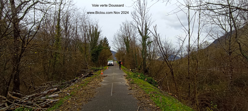 Doussard-2024-novembre-arbres-cassés