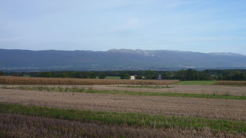 Plaine du Rhône (suisse), après Genève ; vue sur le Jura